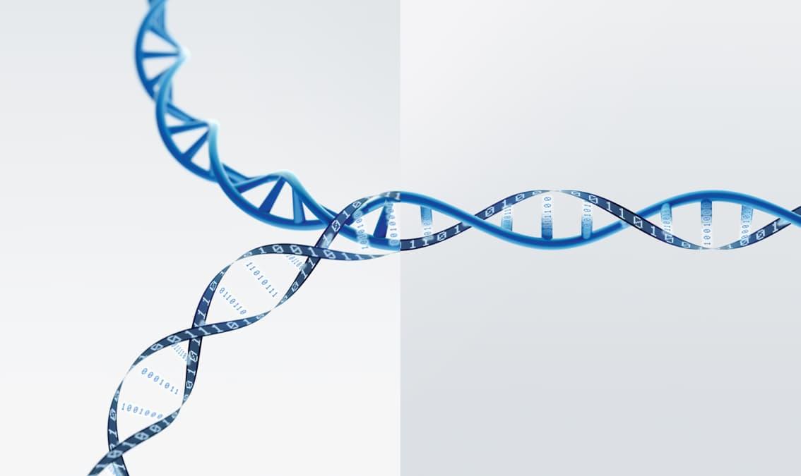 MT3 Marketing Technology