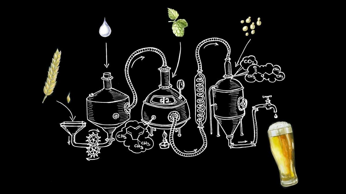 Beer: the science of brewing