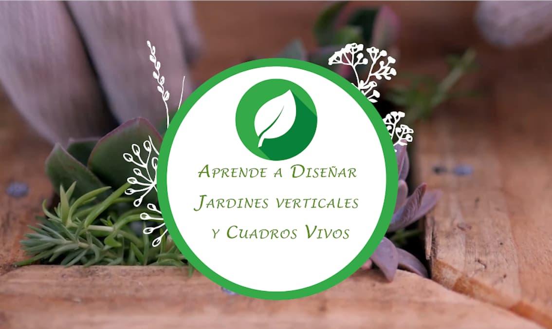 Aprende a diseñar jardines verticales y cuadros vivos