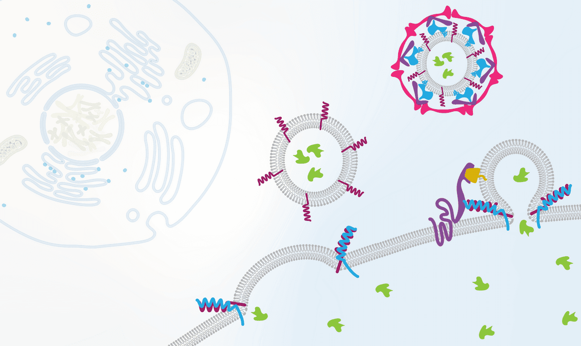 Cell Biology: Transport and Signaling