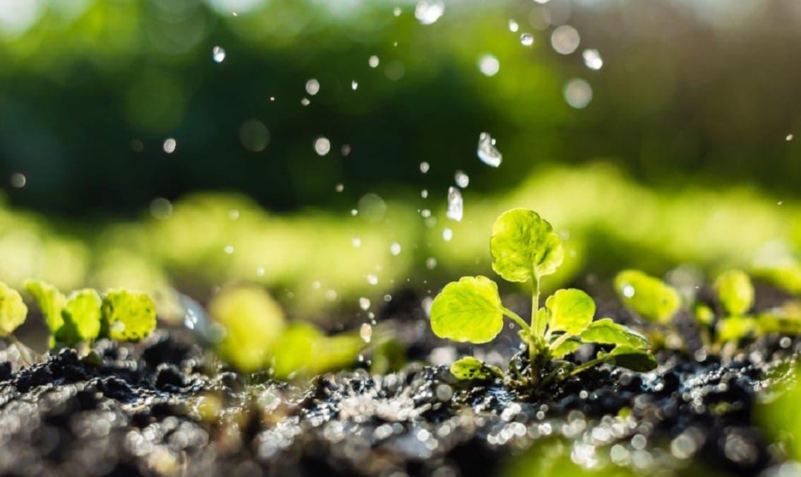 Agricultural Water Management: Water,-Society and Technology Interactions