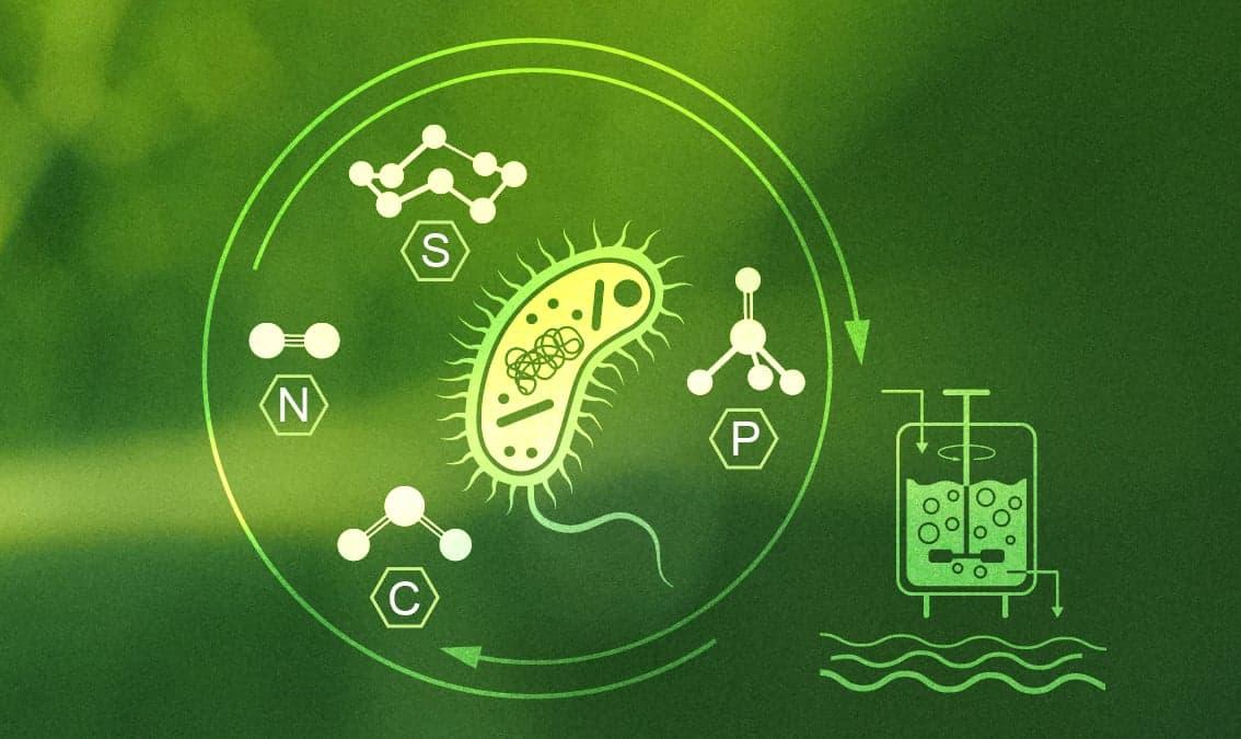 Environmental Biotechnology