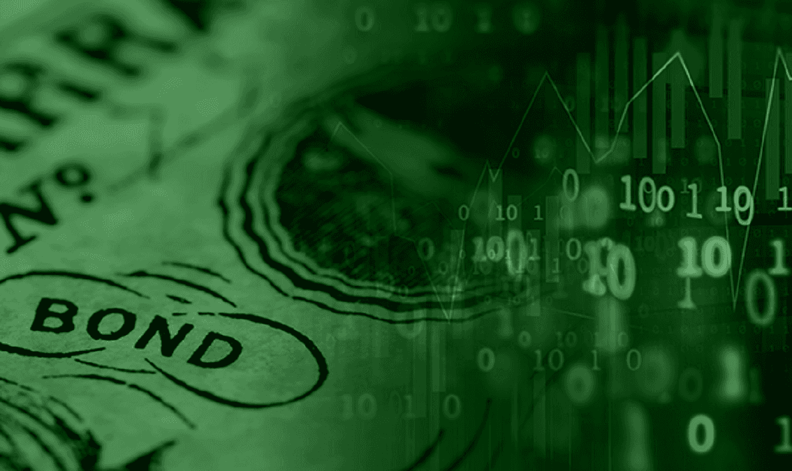 Public Debt, Investment, and Growth: The DIG and DIGNAR Models