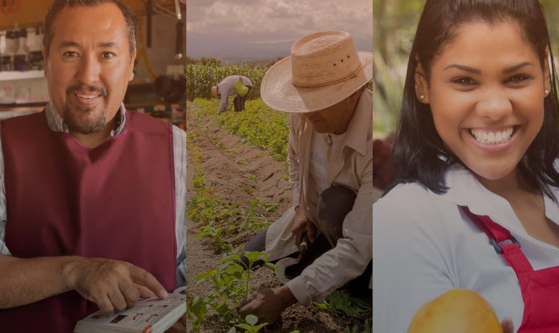 Mercados laborales latinoamericanos