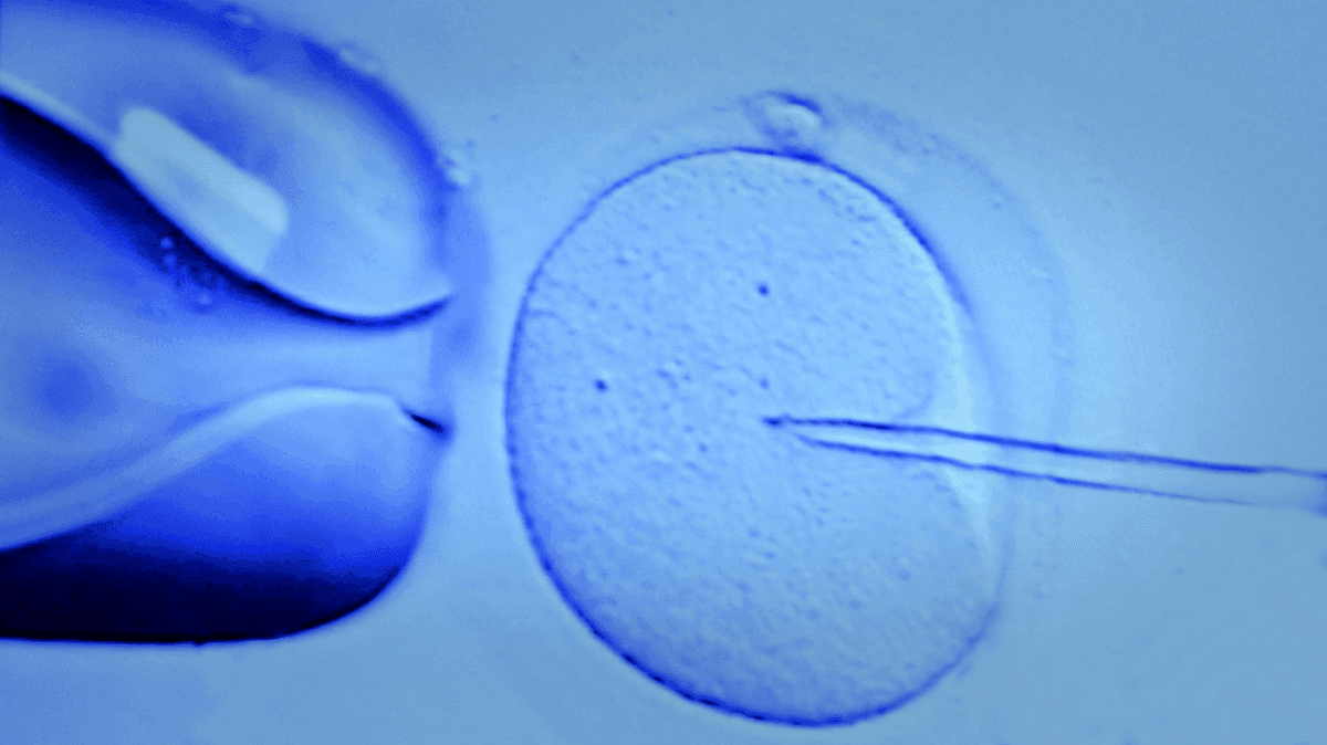 Bioethics: The Law, Medicine, and Ethics of Reproductive Technologies and Genetics