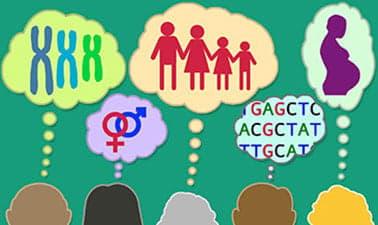 Useful Genetics Part 1: How Our Genes Shape Us