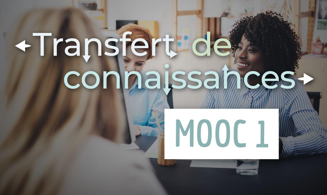 Transfert de connaissances 1 - Introduction