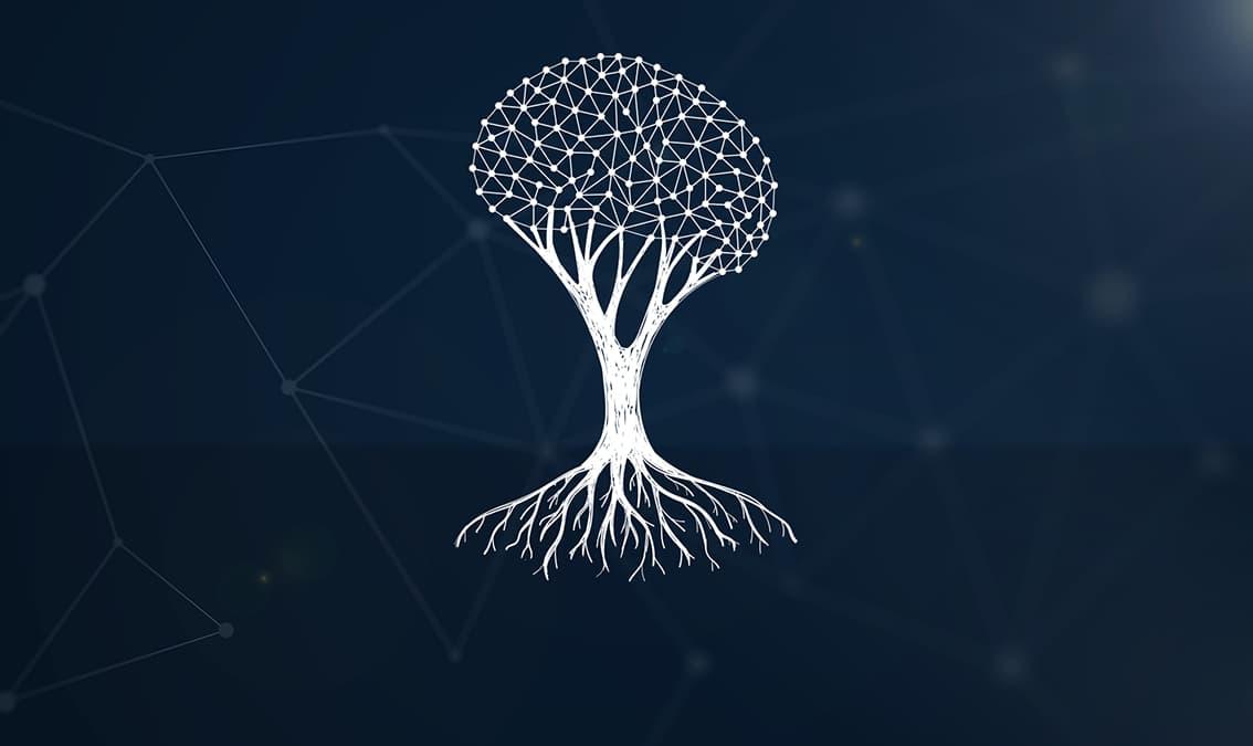 Deep Learning through Transformative Pedagogy