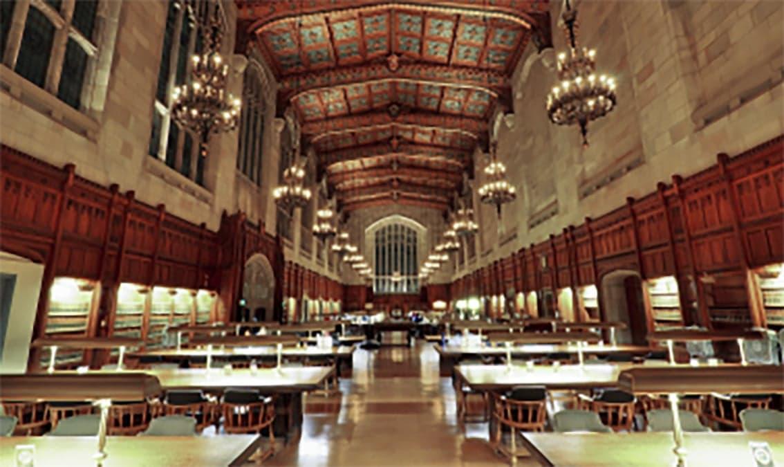 Managing a Diverse and Inclusive Workplace for Public Libraries