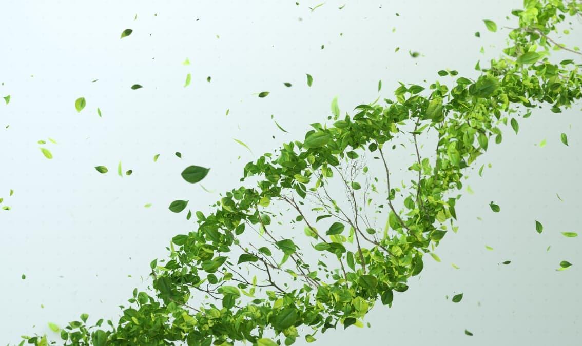 Climate Change in Business Foundations: Net-Zero Transition