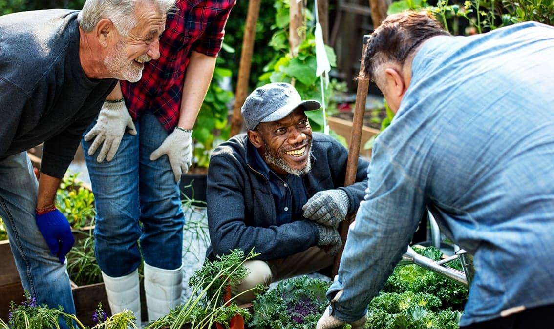 Resilience in the Anthropocene