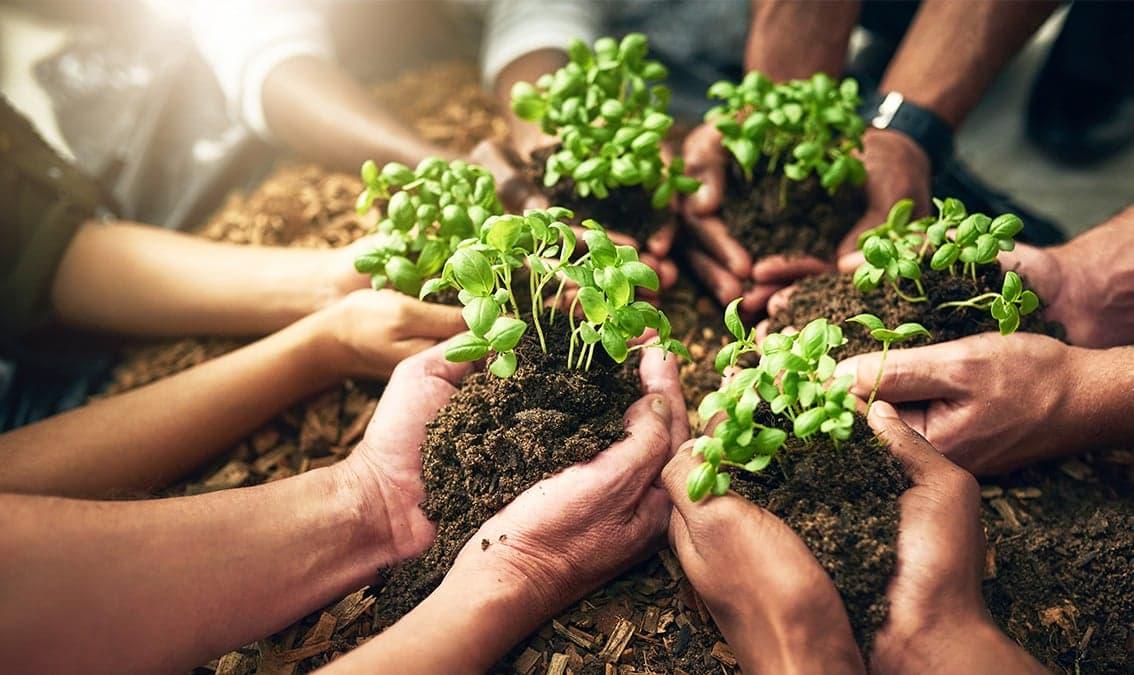 Emotional Resilience and the Ecological Self