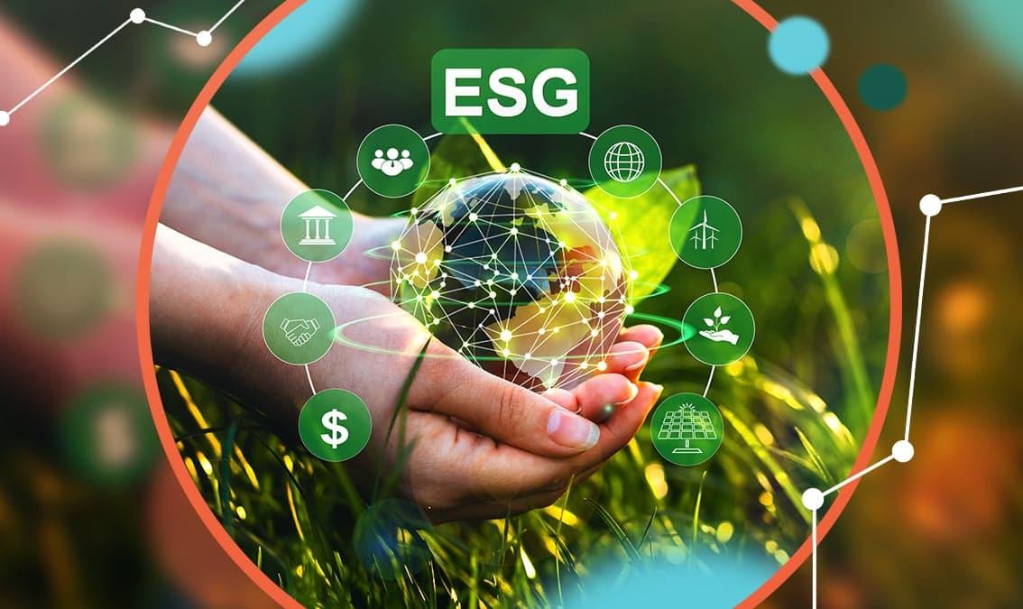 Sostenibilidad empresarial e inversión.