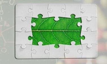 Mathematical Modeling in the Life Sciences 生物数学建模