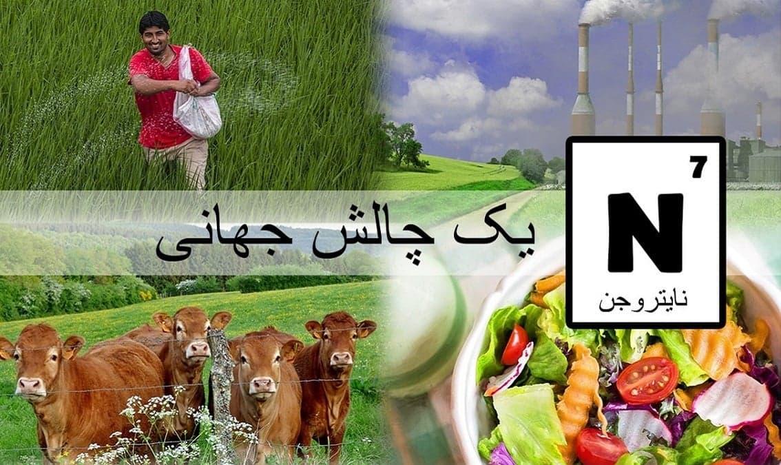 Nitrogen: A Global Challenge (Dari)