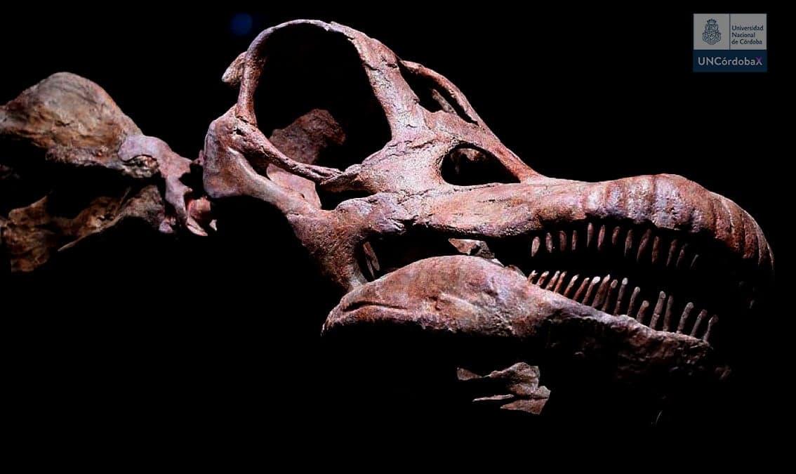 Dinosaurios de la Patagonia