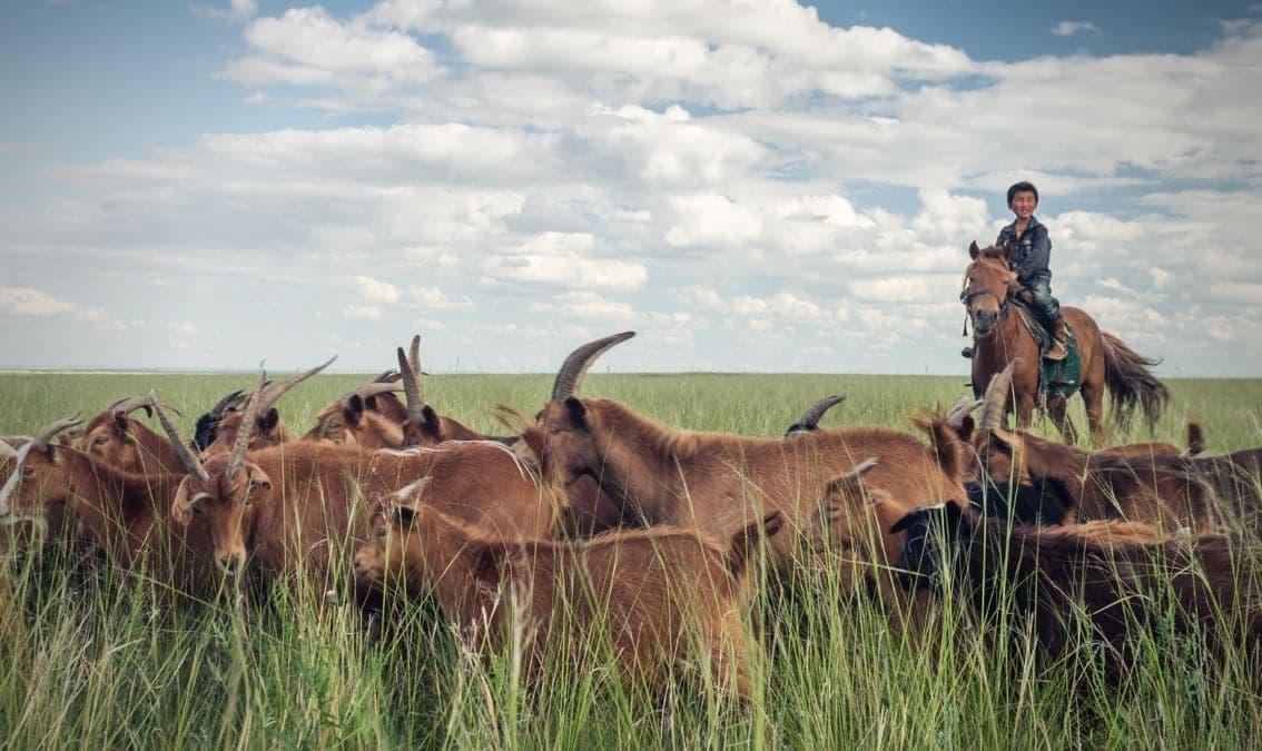 One Health in Practice: Solutions for healthy people in Biosphere reserves