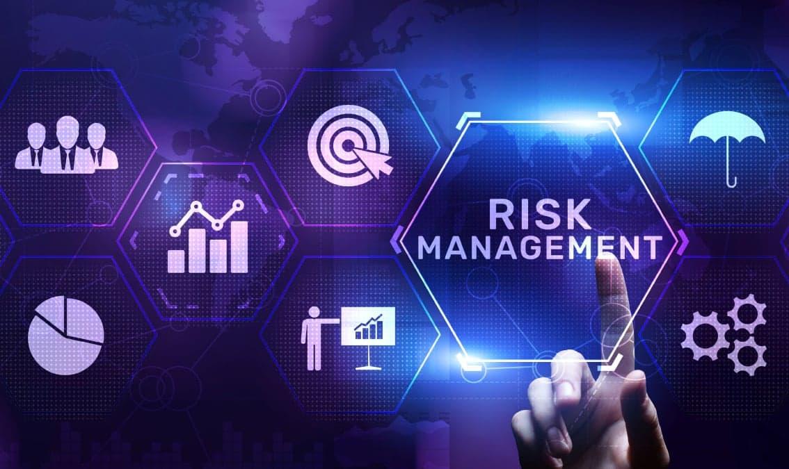 Project Lifecycle and Risk Management