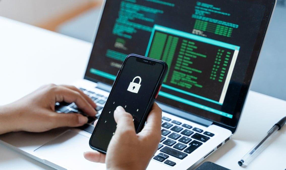 Introduction to Cybersecurity Principles