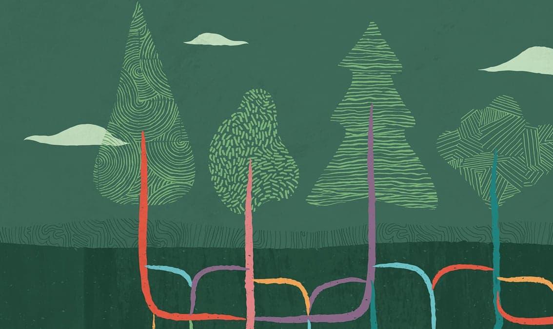 Oracle Cloud Infrastructure Operations Professional