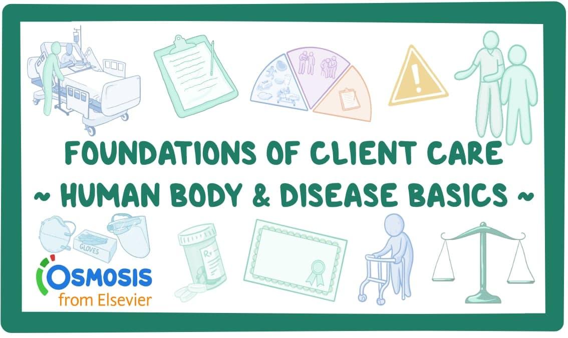 Foundations of Client Care 1: Human Body and Disease Basics