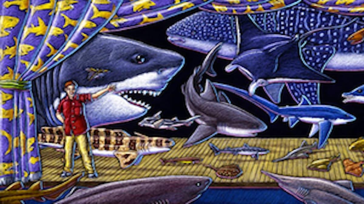 أسماك القرش!