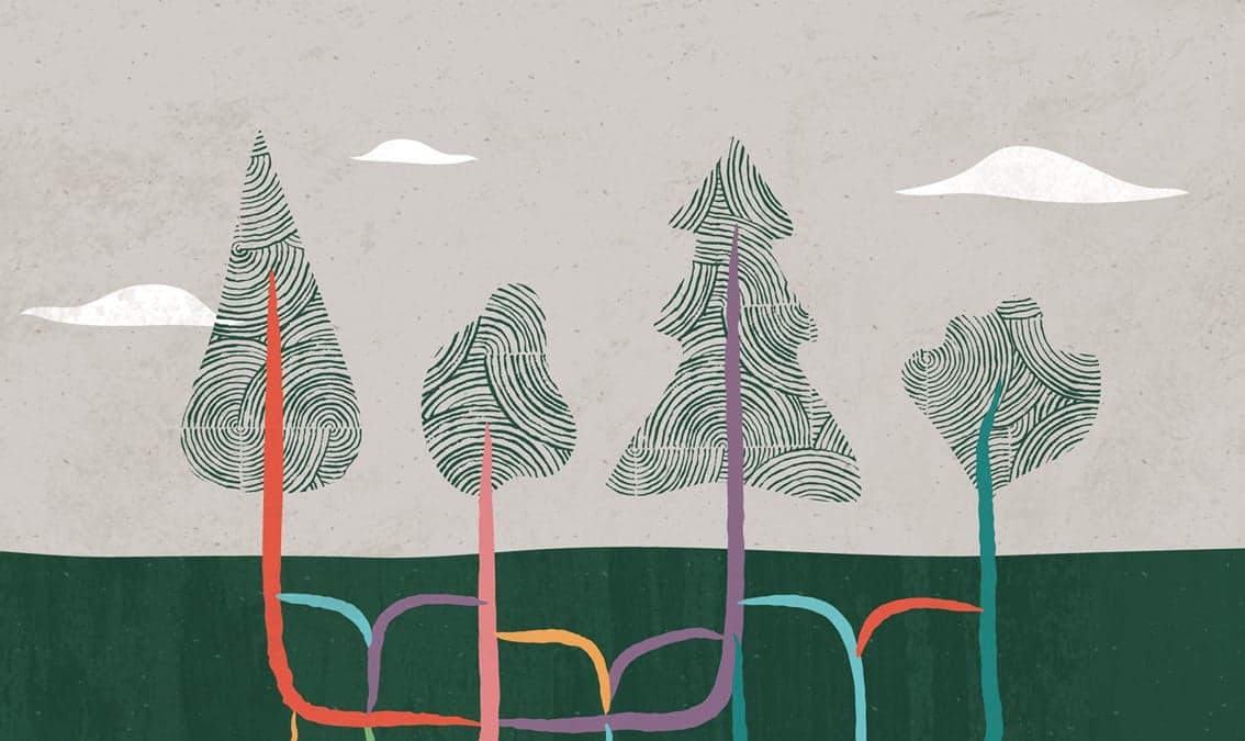 Oracle Cloud Infrastructure Architect Professional