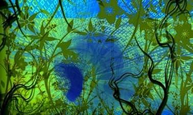 Introducción a los Sistemas de Información Gerencial (MIS): Una guía de supervivencia