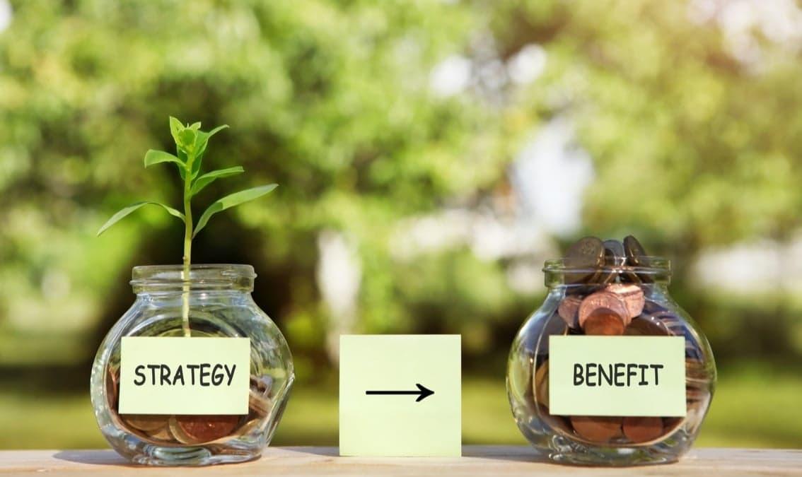 Business Strategy and Operations in a Biobased Economy