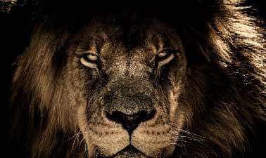 Comunicación estratégica: gestión de crisis e imagen pública