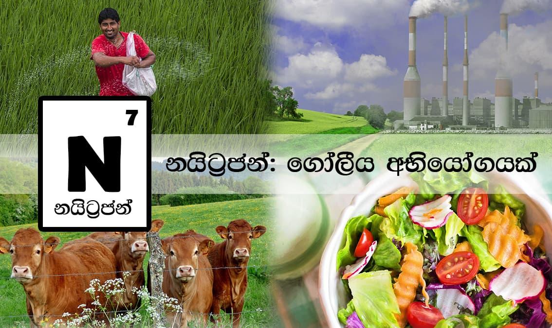 Nitrogen: A Global Challenge (Sinhalese)