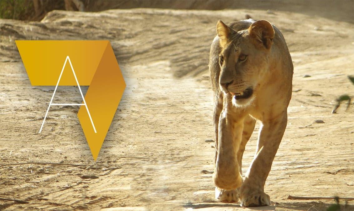 Conservation & Protected Areas Management in Africa