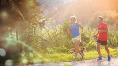 Understanding Alzheimer’s Disease: A Molecular and Genetic Approach