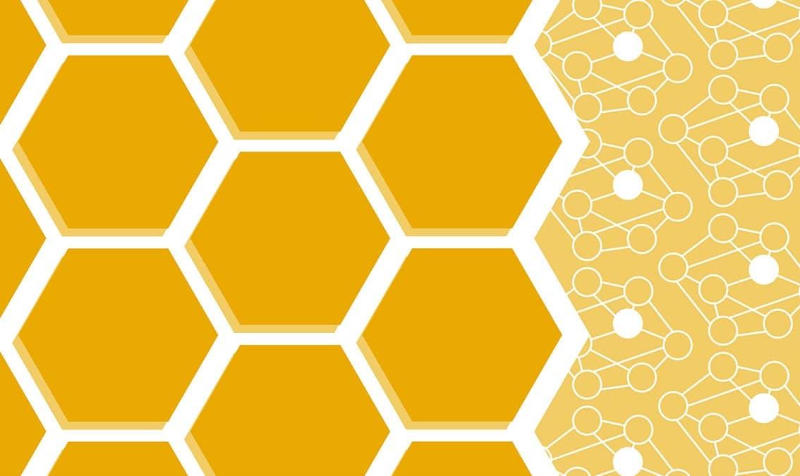 Data Structures & Algorithms IV: Pattern Matching, Dijkstra’s, MST, and Dynamic Programming Algorithms