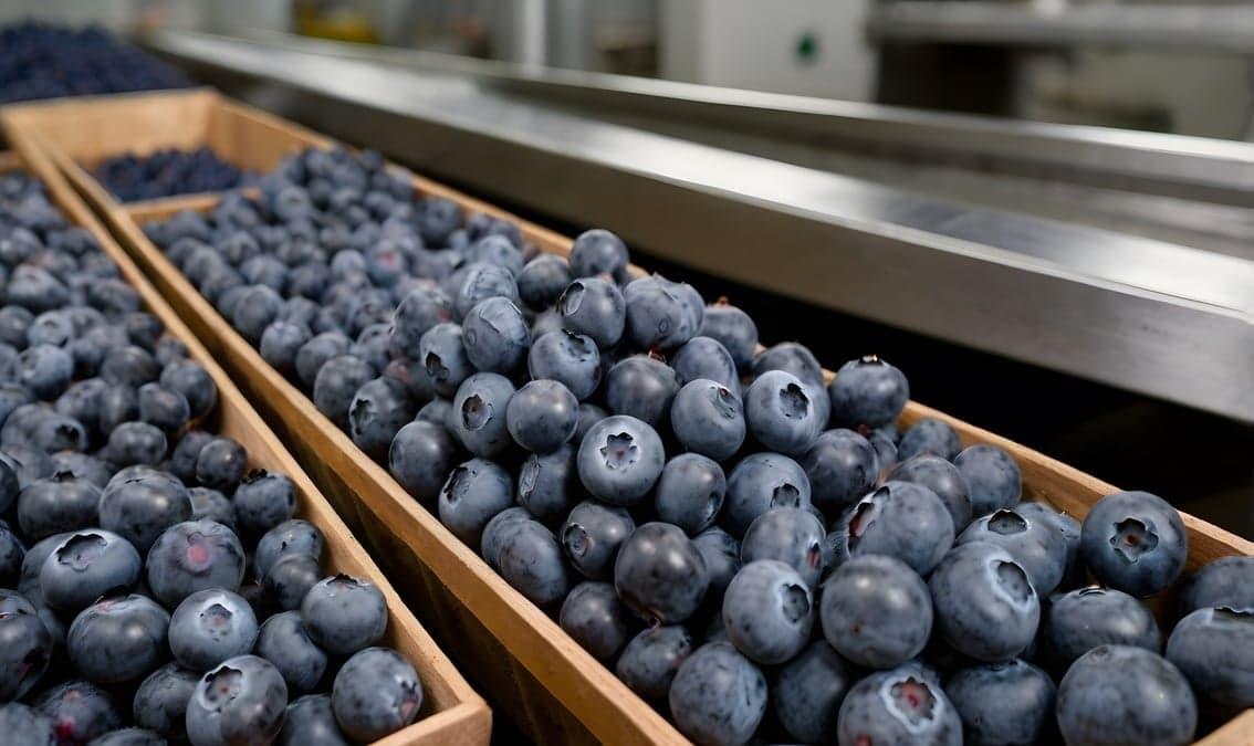 How Food is Made. Understanding Food Processing Technologies