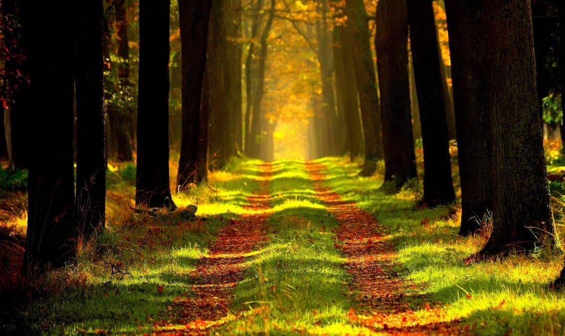 Por 5 razones: respuestas ante el suicidio