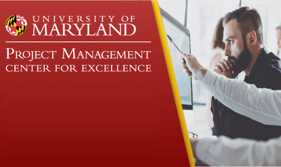 Strategic Decisions for Project Leaders: Exploiting Risk and Opportunity