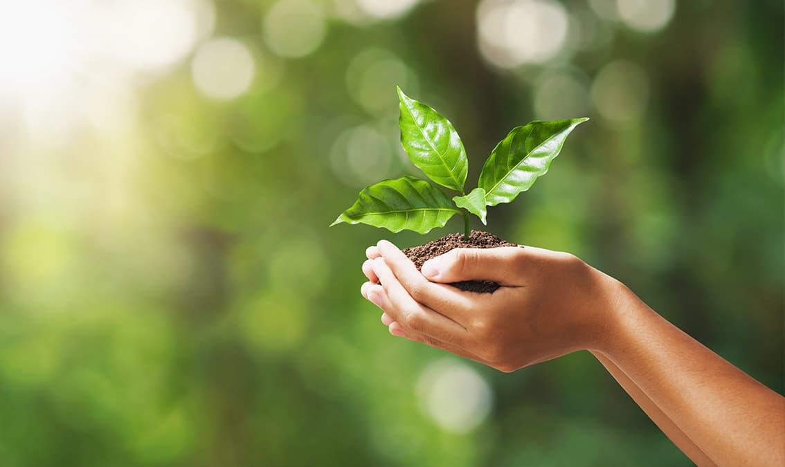 Sustentabilidade Ambiental - Mobilizar, Observar e Operacionalizar