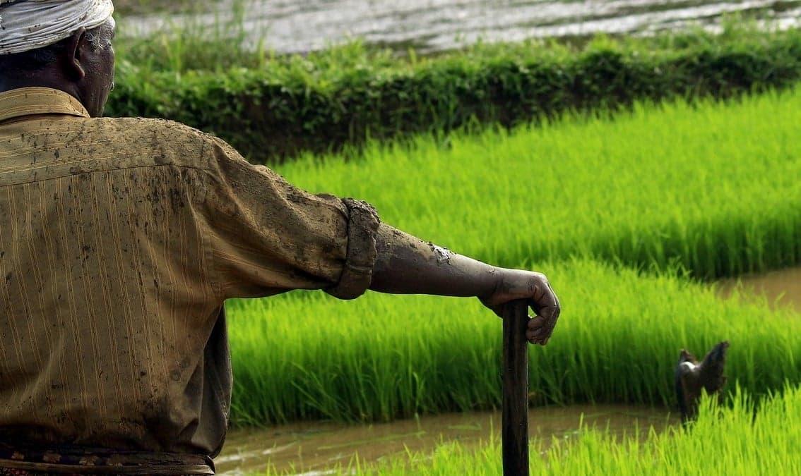 The Role of Social Sciences in Nitrogen Research