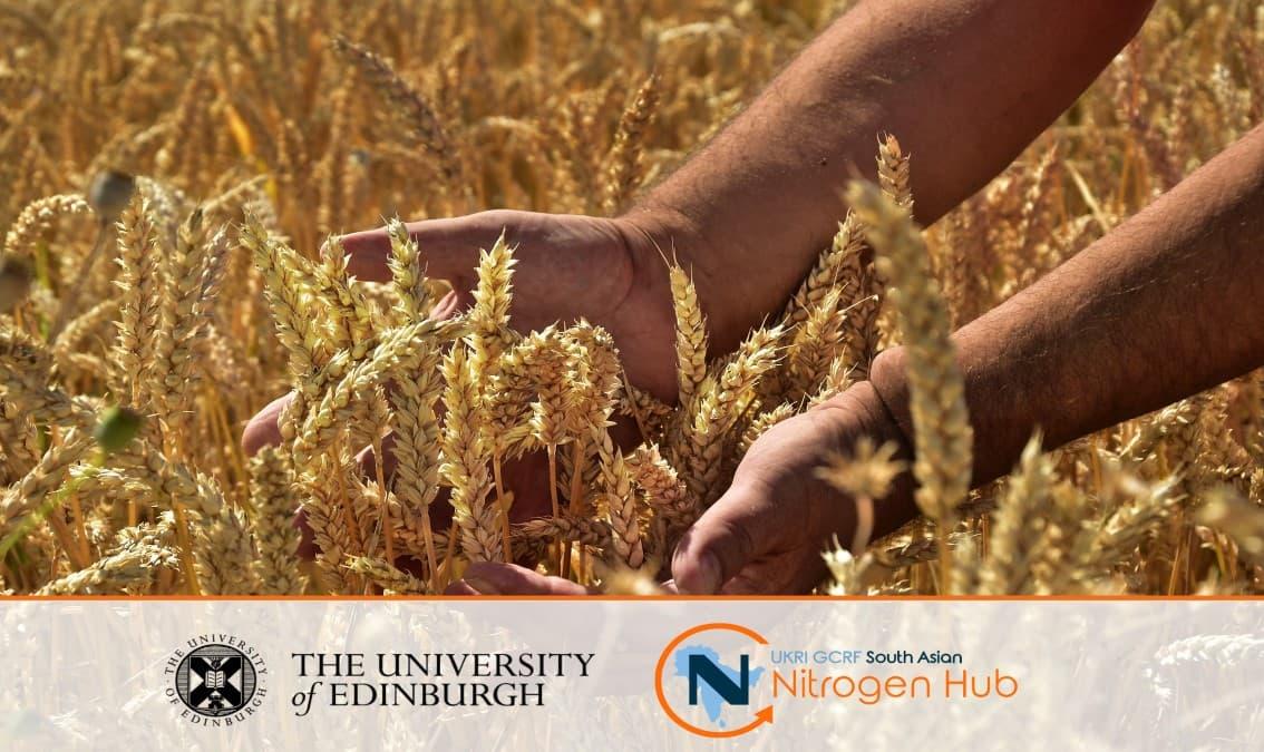 Nitrogen-related field measurements