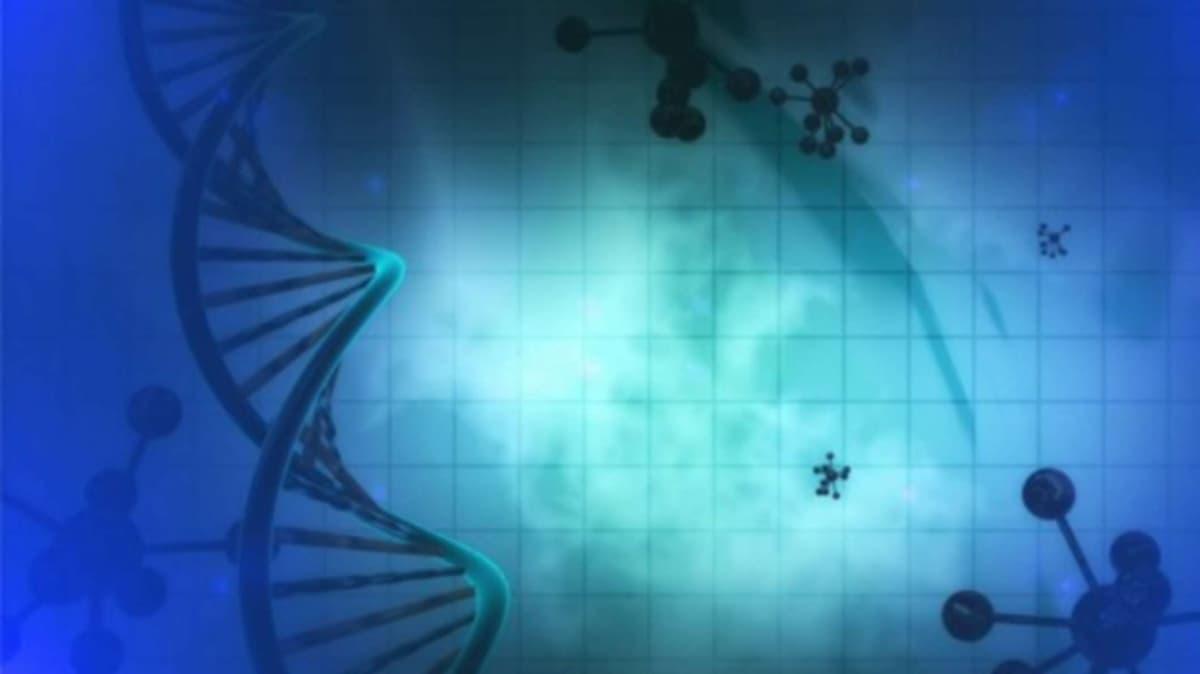 DNA and Atoms: The Secret of Life