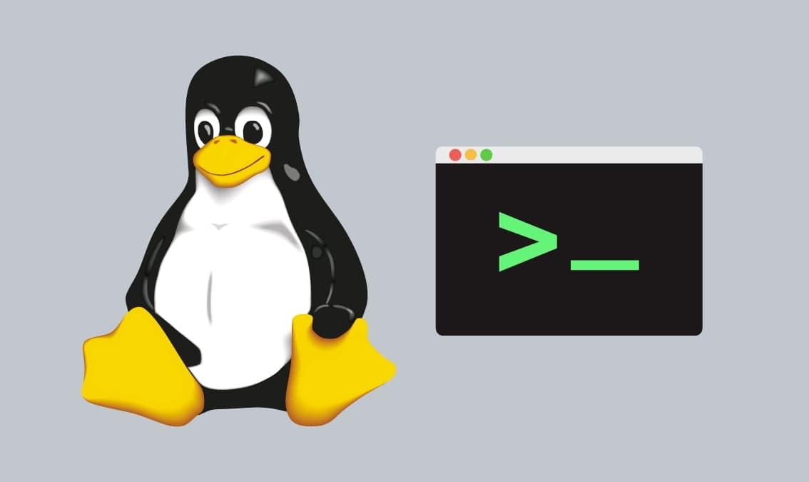 Linux Commands & Shell Scripting