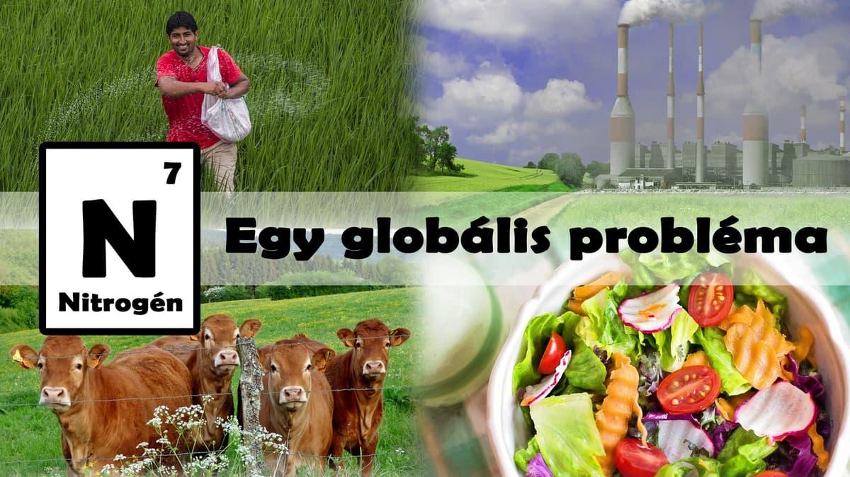 Nitrogen: A Global Challenge (Hungarian)