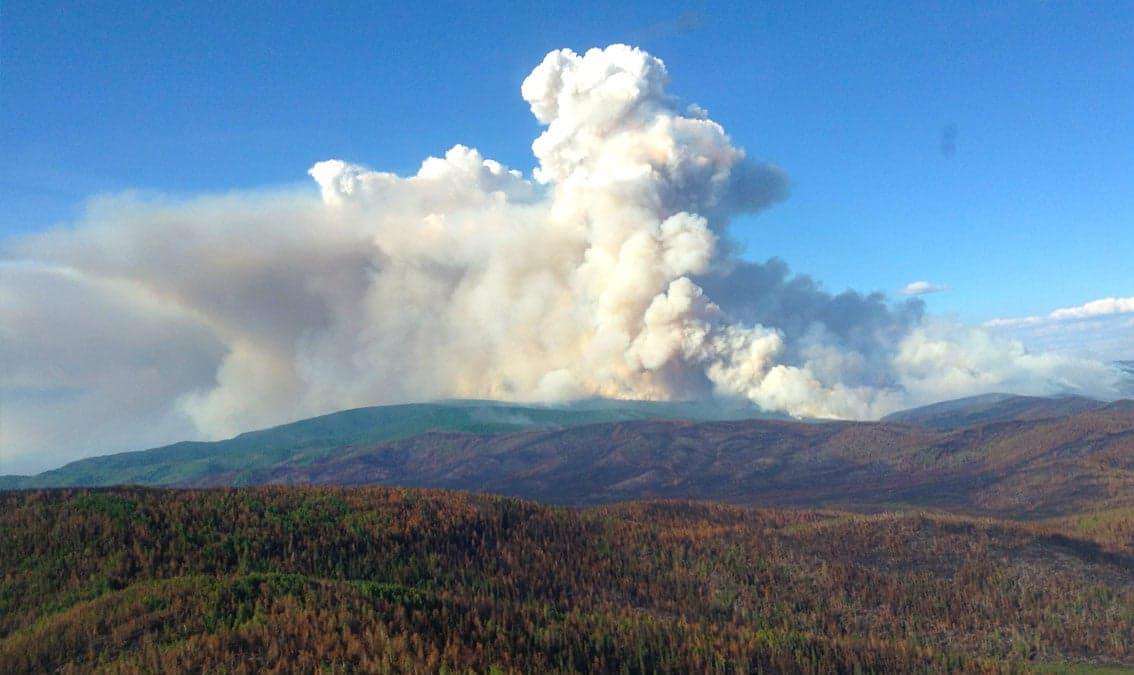 Remote Sensing of Wildfires