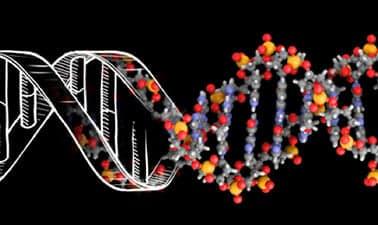 DNA: Biology’s Genetic Code