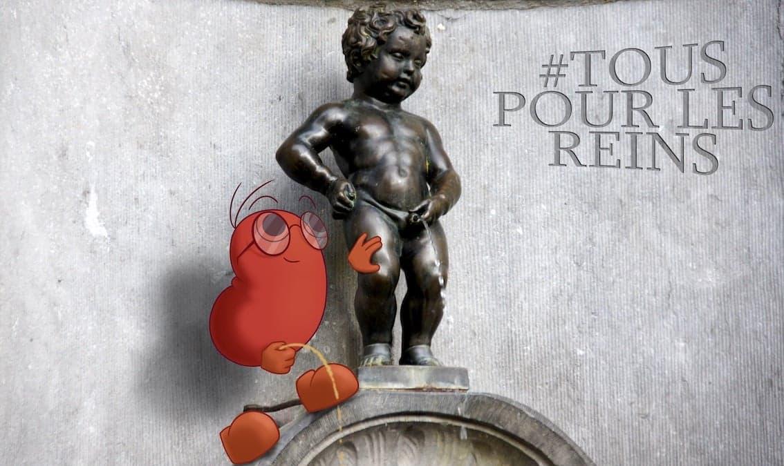Agir pour la santé des reins