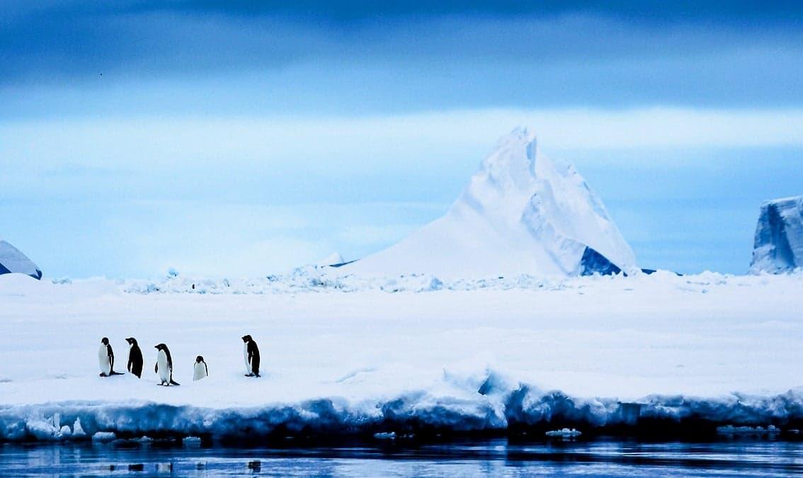 Antarctica: Life on the Frozen Continent