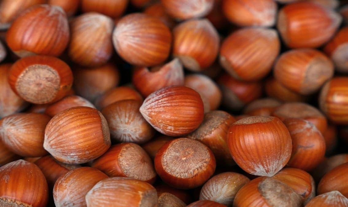 Circular Business Models for Sustainable Urban Food Systems