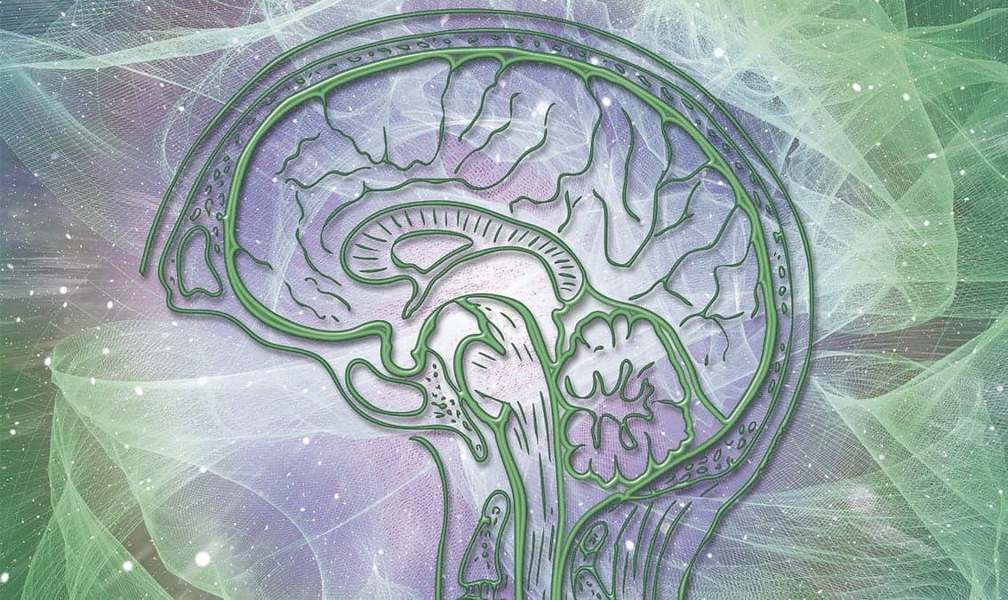 Introduction to Cognitive Psychology and Neuropsychology