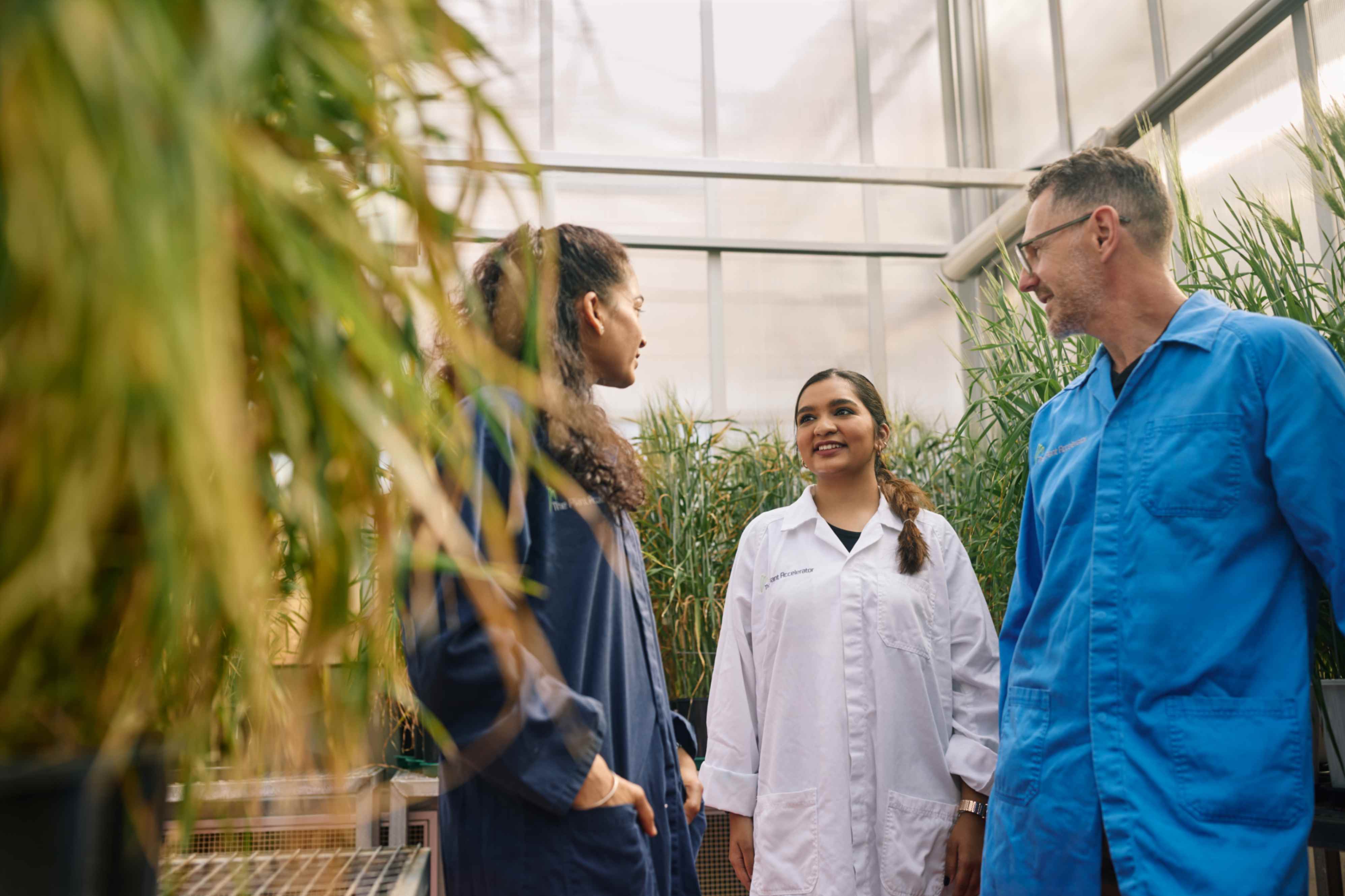 Adelaide University campus